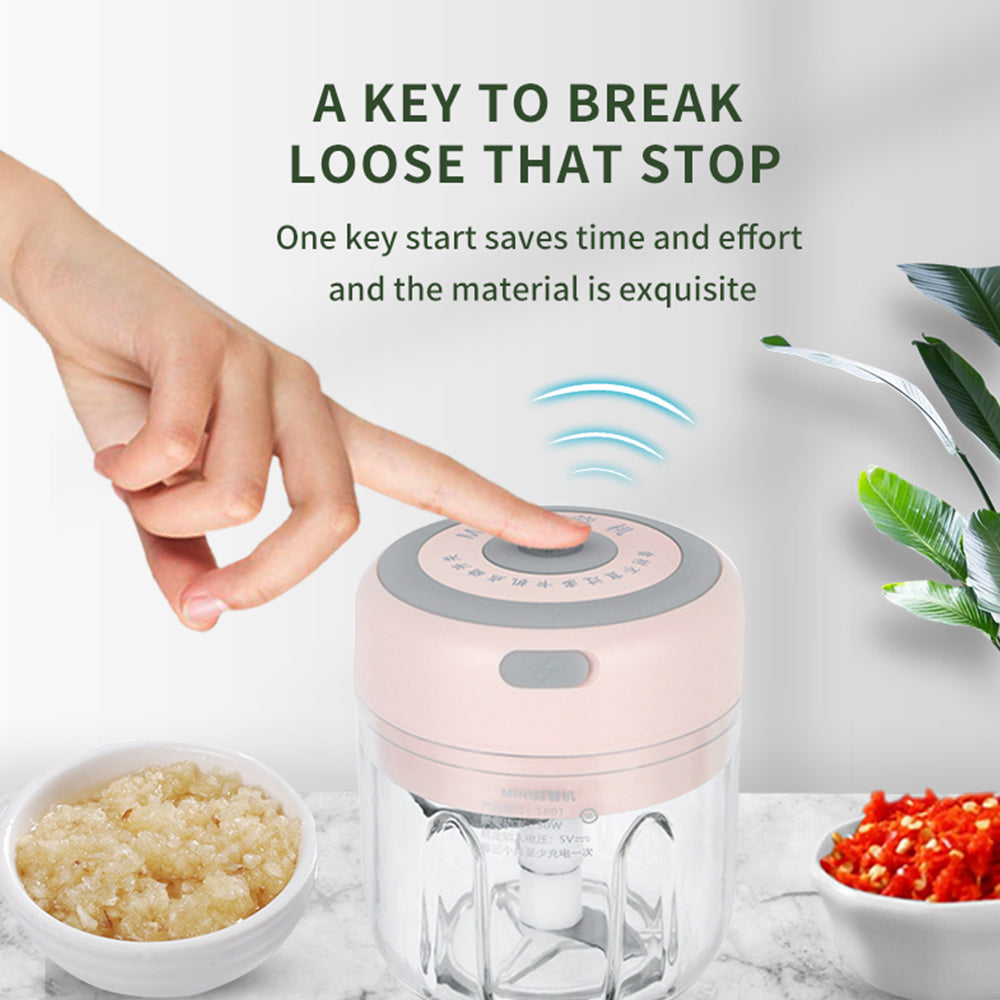 Electric Mini Kitchen Chopper - Welfre.com