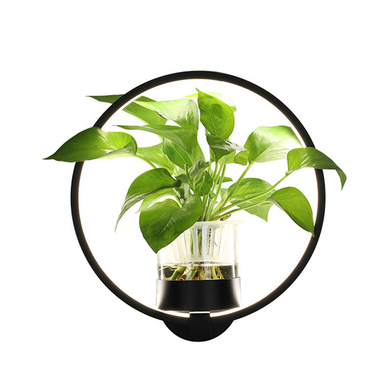 Decorative Wall Pot Lamp - Welfre.com