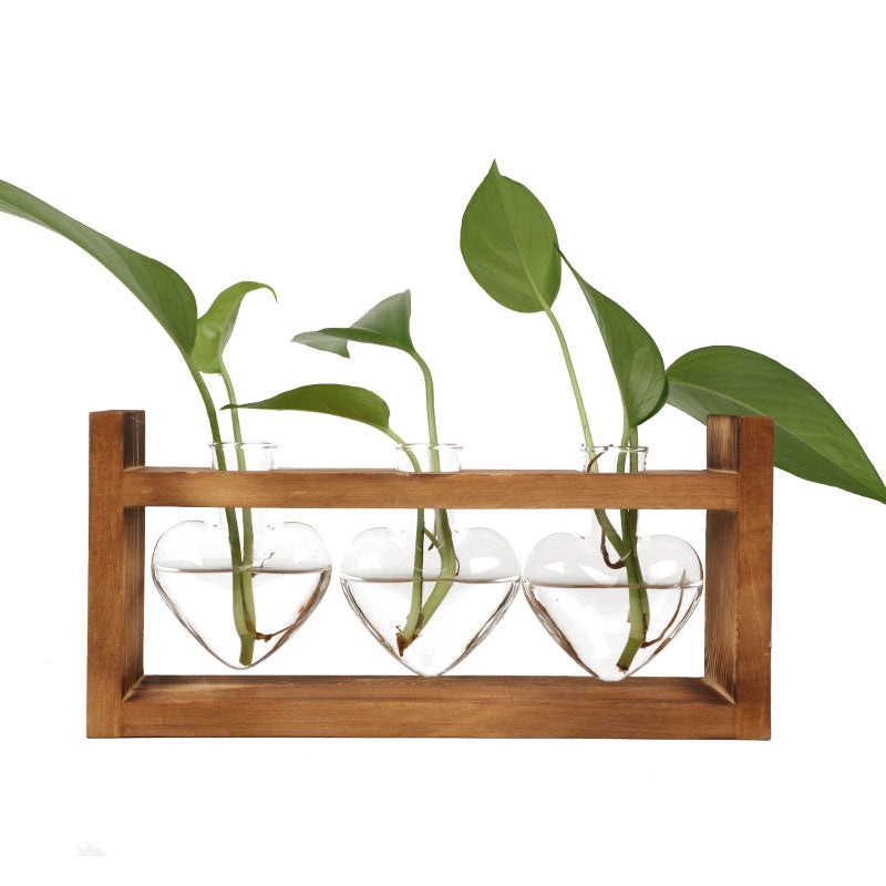 Plant Terrarium with Wooden Stand - Welfre.com